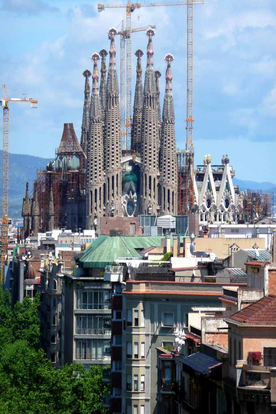 Sagrada Familia Cathedral Barcelona Spain Photograph Print
