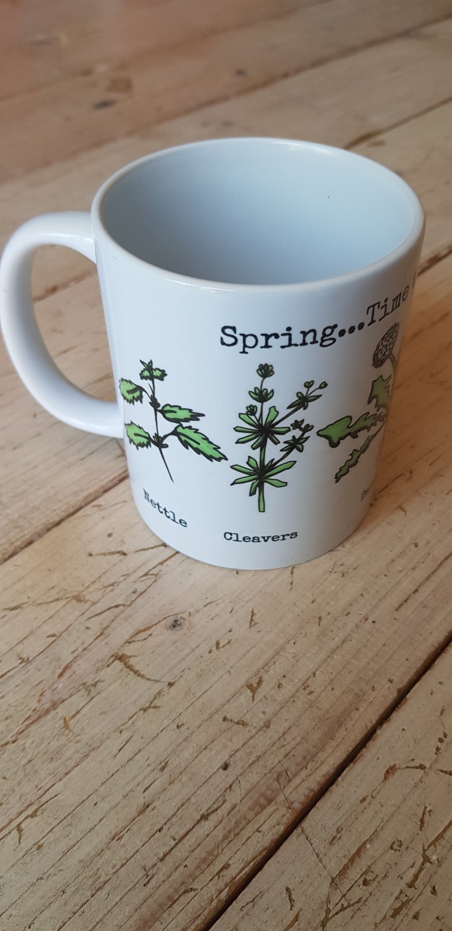 Mug - Spring herbs