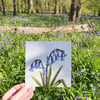 Bluebells card