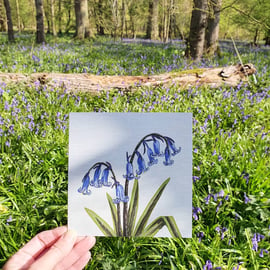 Bluebells card, blank card, Spring, thinking of you card, flowers