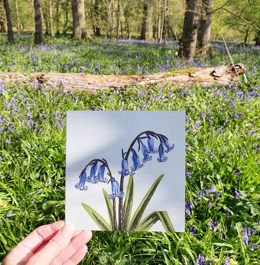 Bluebells card, blank card, Spring, thinking of you card, flowers