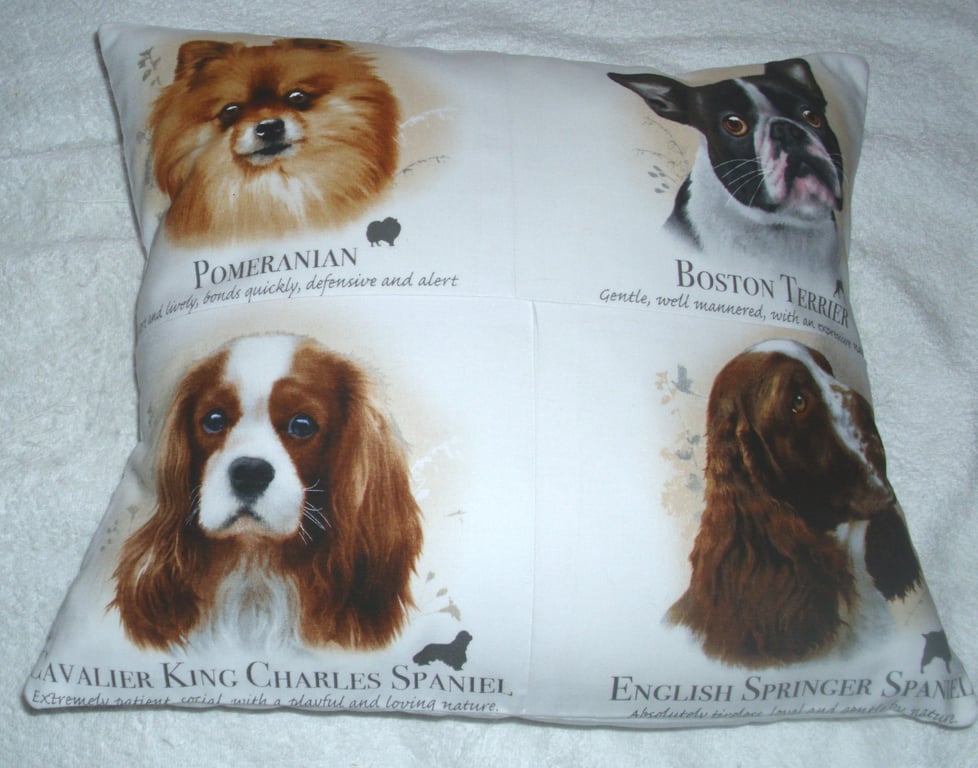 Pomeranian, Boston Terrier, King Charles spaniel and Springer portrait cushion