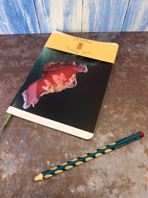 Notebook, Marine themed, A5 (ish), made from up-cycled and recycled materials.