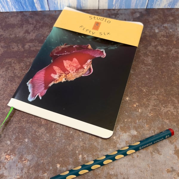 Notebook, Marine themed, A5 (ish), made from up-cycled and recycled materials.