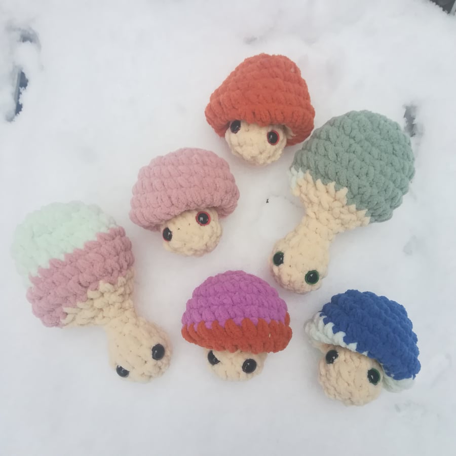 Mushroom Pops Party Joblot