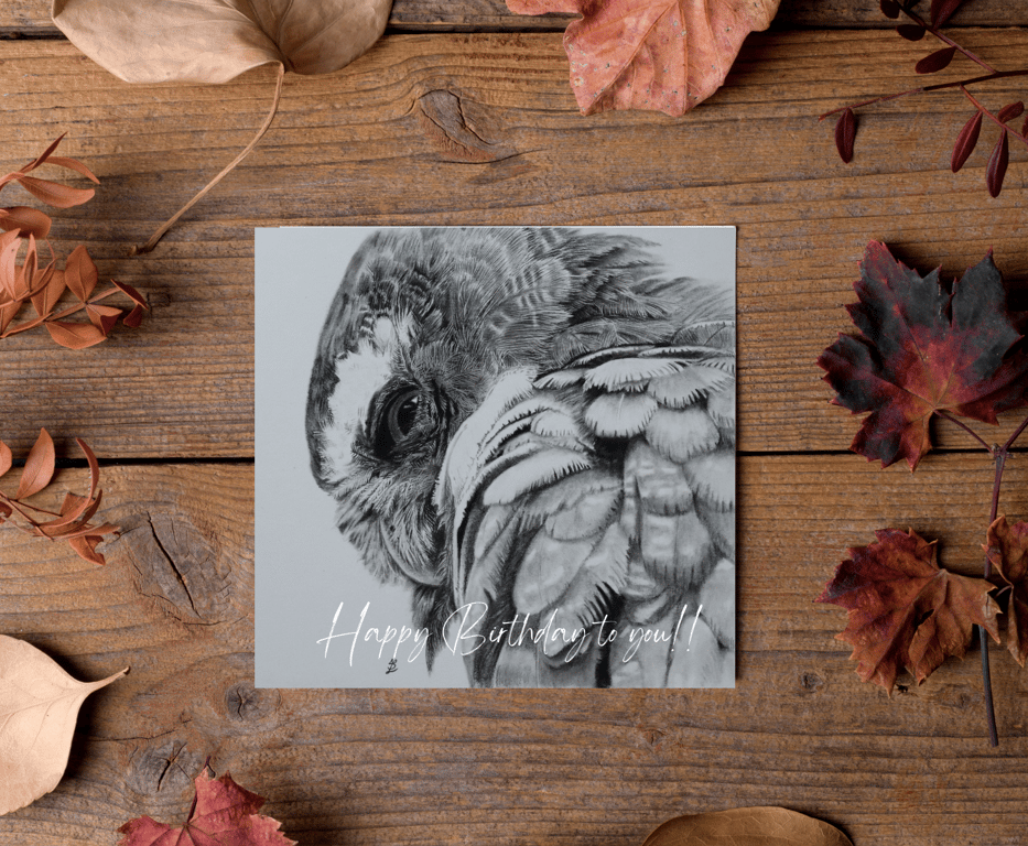 Customisable Owl Card, Illustrated Front with Story Inside