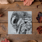 Customisable Owl Card, Illustrated Front with Story Inside