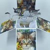 Birthday Card with Cats