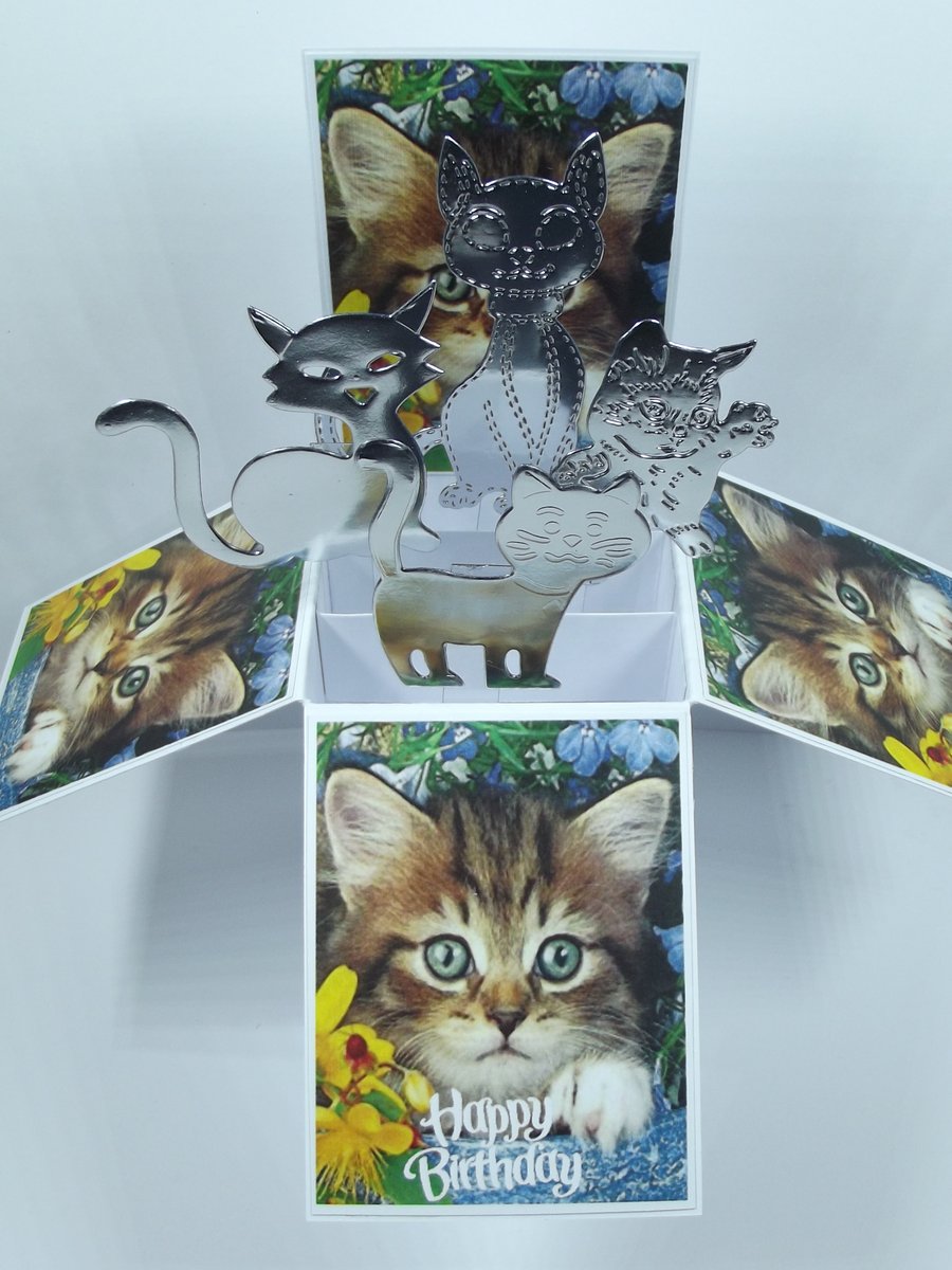 Birthday Card with Cats