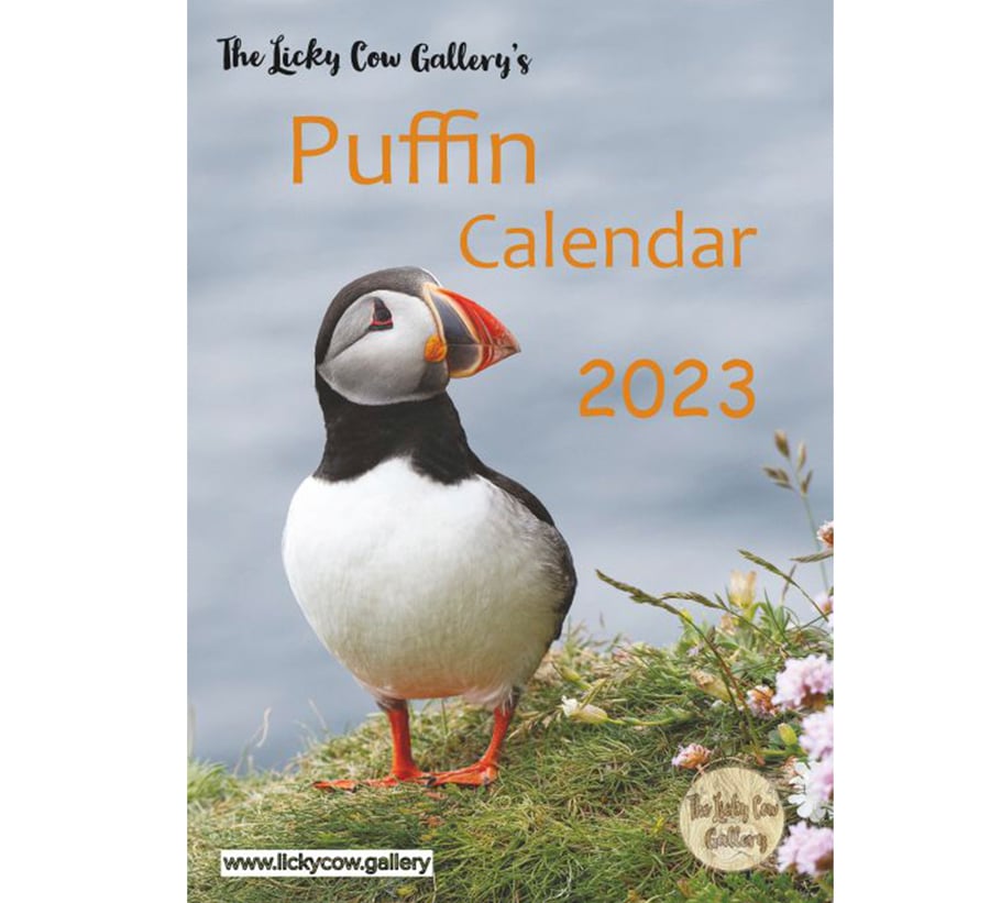Puffin 2023 Calendar A4 wire bound with hanger Folksy