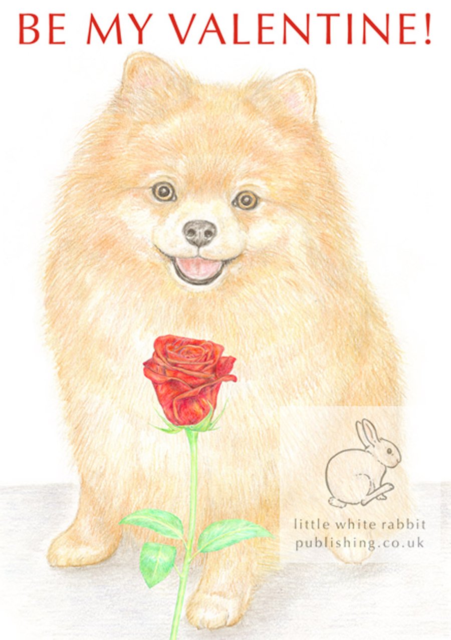 Poppy the Pomeranian - Valentine Card