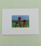 ACEO  - Image 3