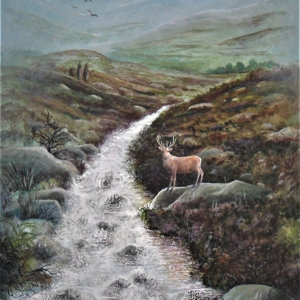 King Of The Glen