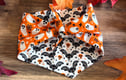 Dog Bandanas