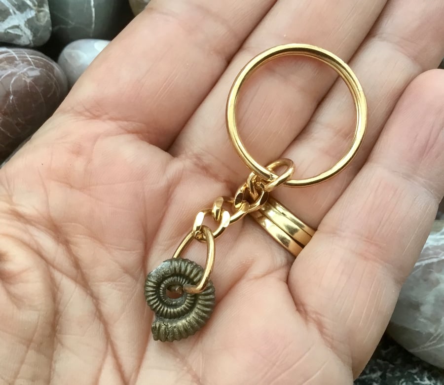 Small Prestige Golden Pyrite Ammonite Fossil Keyring or Handbag Charm.