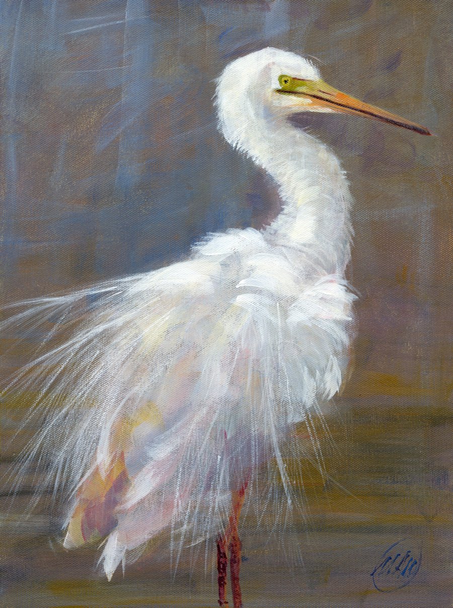 B5M White Egret print