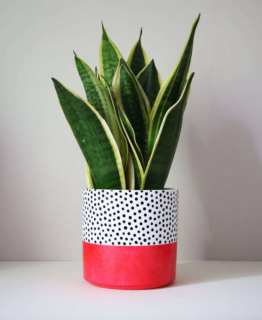 Red Colour Pop Polka Dot Plant Pot I Width 16cm I Height 15cm