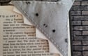 Book Nook - Items for Book Lovers