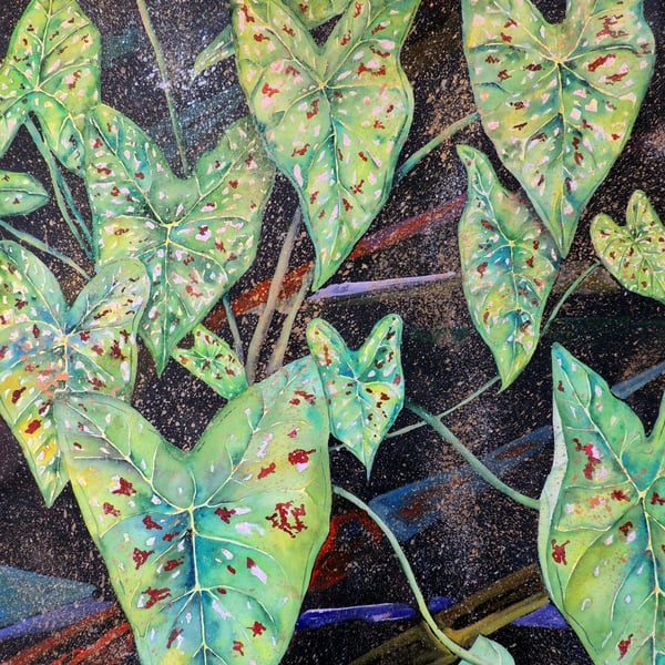 Green Caladium Leaves Tropical Plant  Botanical Watercolour Original Painting