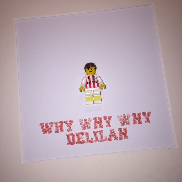 STOKE CITY FC - Framed custom Lego minifigure 