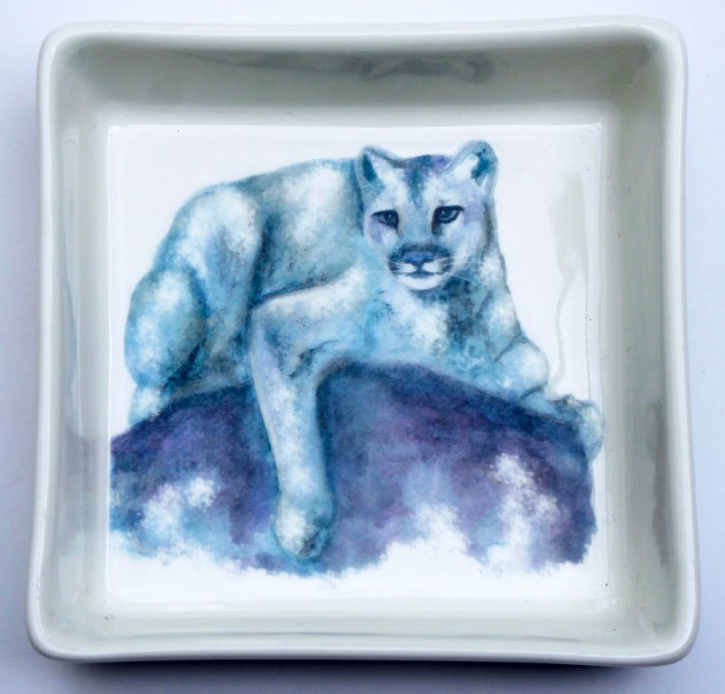 Puma, Cougar, Mountain Lion Design Ceramic Dish, 10 x 10cm, Many Uses