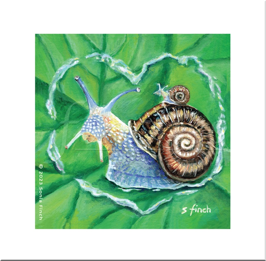 Spirit of Snail - Blank Greeting Card with nature spirit totem message