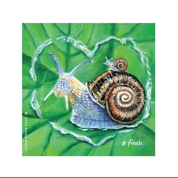 Spirit of Snail - Blank Greeting Card with nature spirit totem message