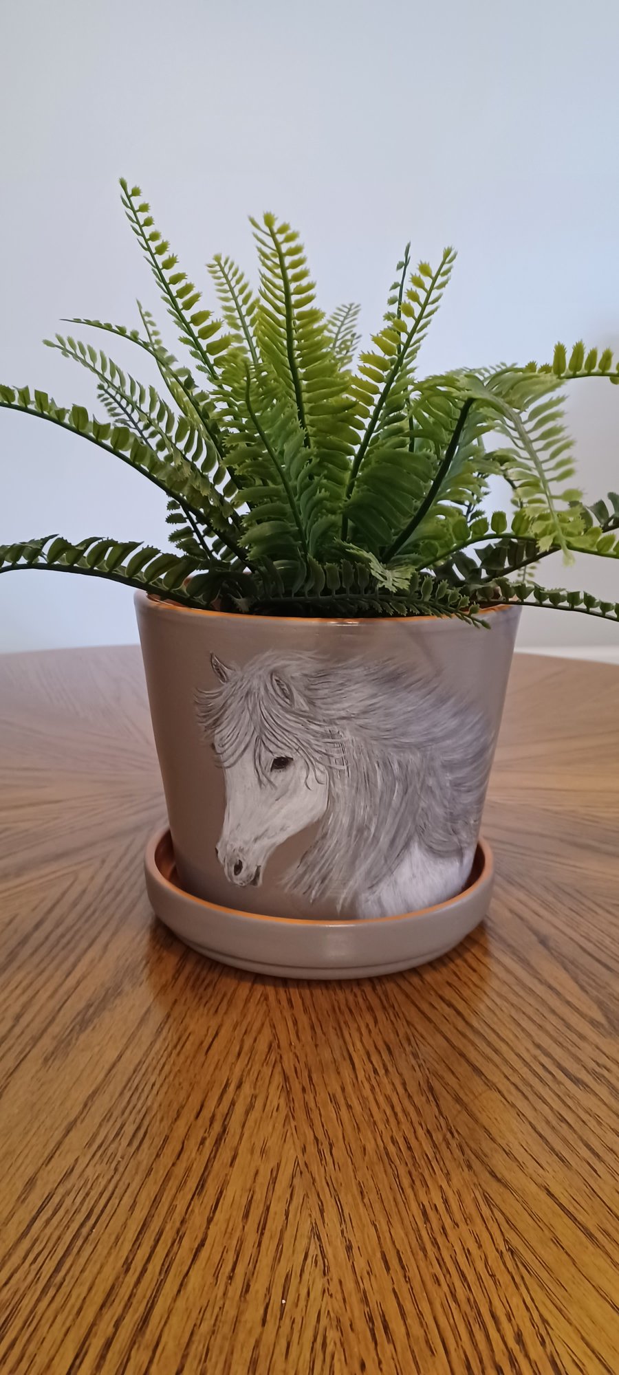 Hand-painted  terracotta plant pot 