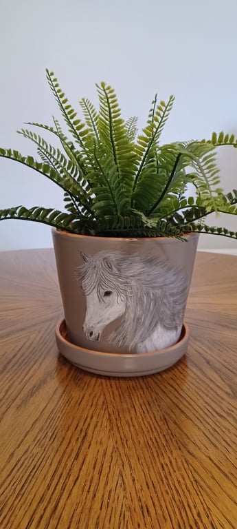 Hand-painted  terracotta plant pot 