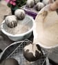 Hanging Cactus Planter - Image 10