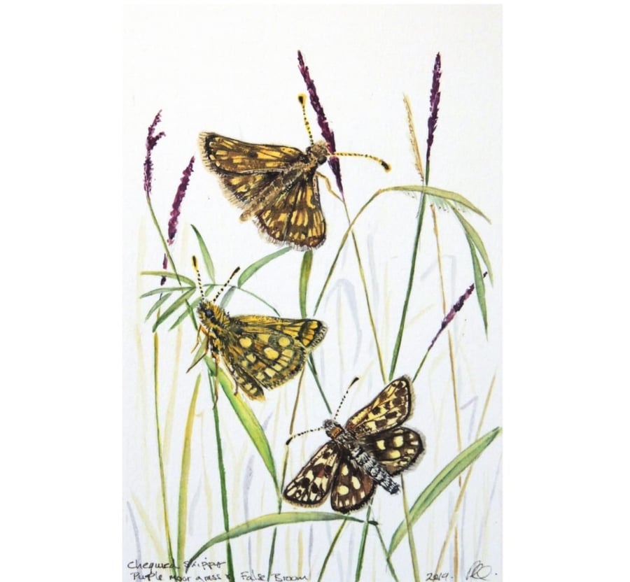  Framed Butterfly and Wildflower Botanical Watercolour Painting