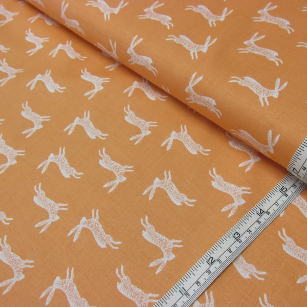 50cm Hares from Nature Trail by Bethan Janine for Dashwood Studios