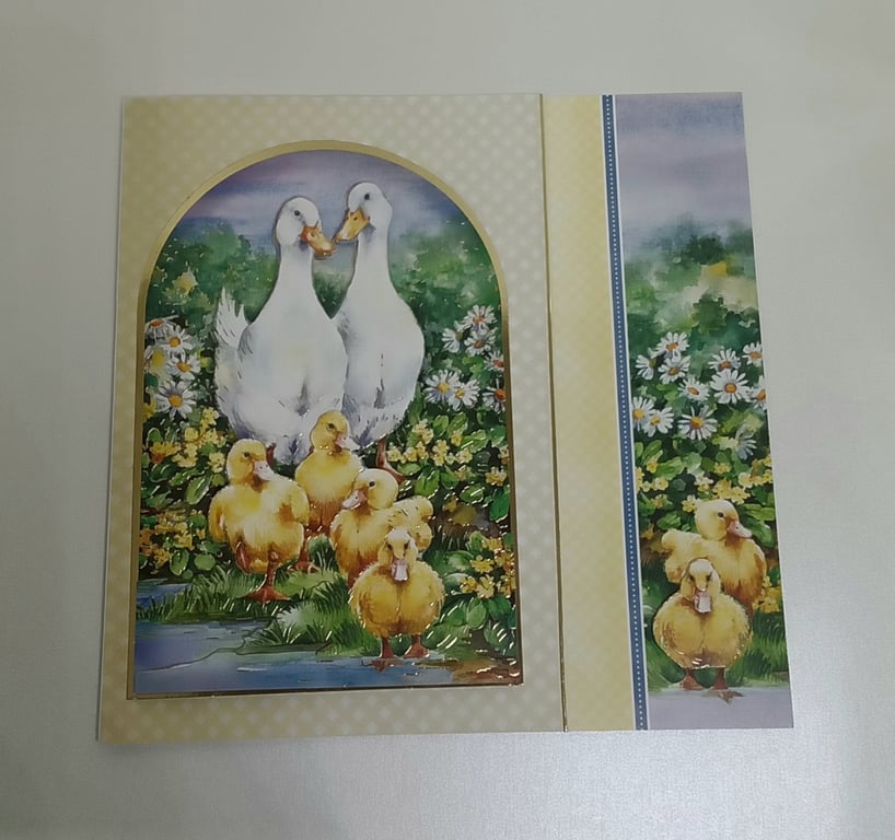 Blank Card,  Duck Family