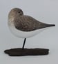 Sleepy dunlin - Image 4