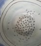 CERAMIC  - Bowl - Image 3