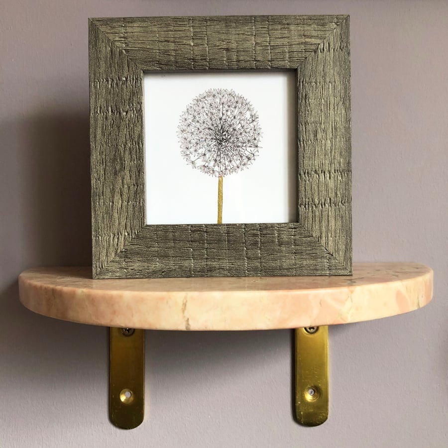 'Allium' Mini Framed Print