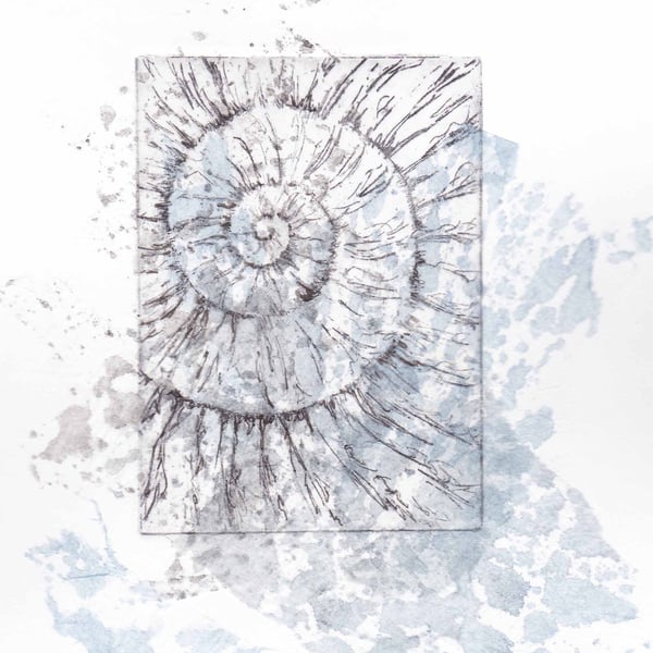 Etching no.58 of an ammonite fossil with chine colle in an edition of 100