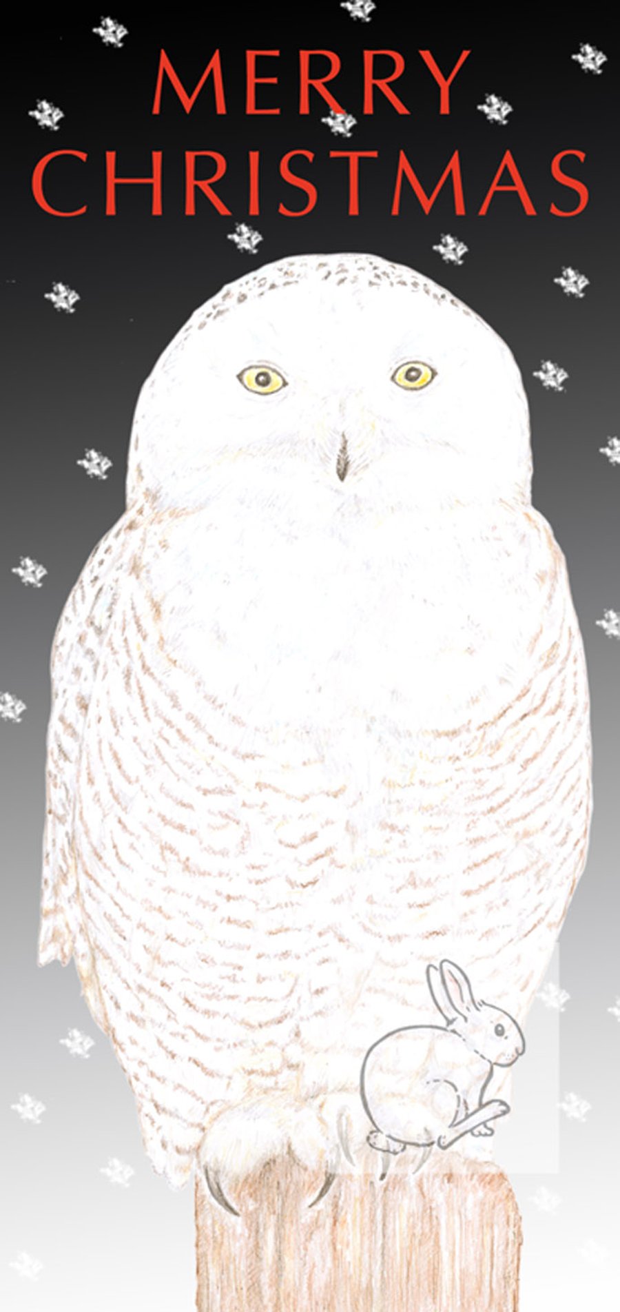 Snowy Owl - Christmas Card