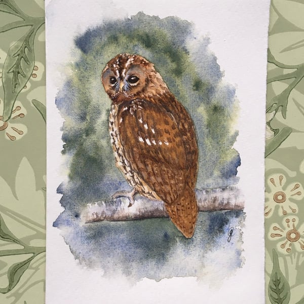 Young Tawny hand painted card