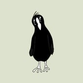 Coot Cards
