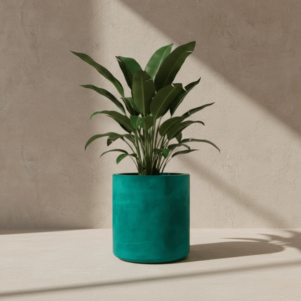  Large Statement Persian Green Plant Pot - Turquoise Unique Planter