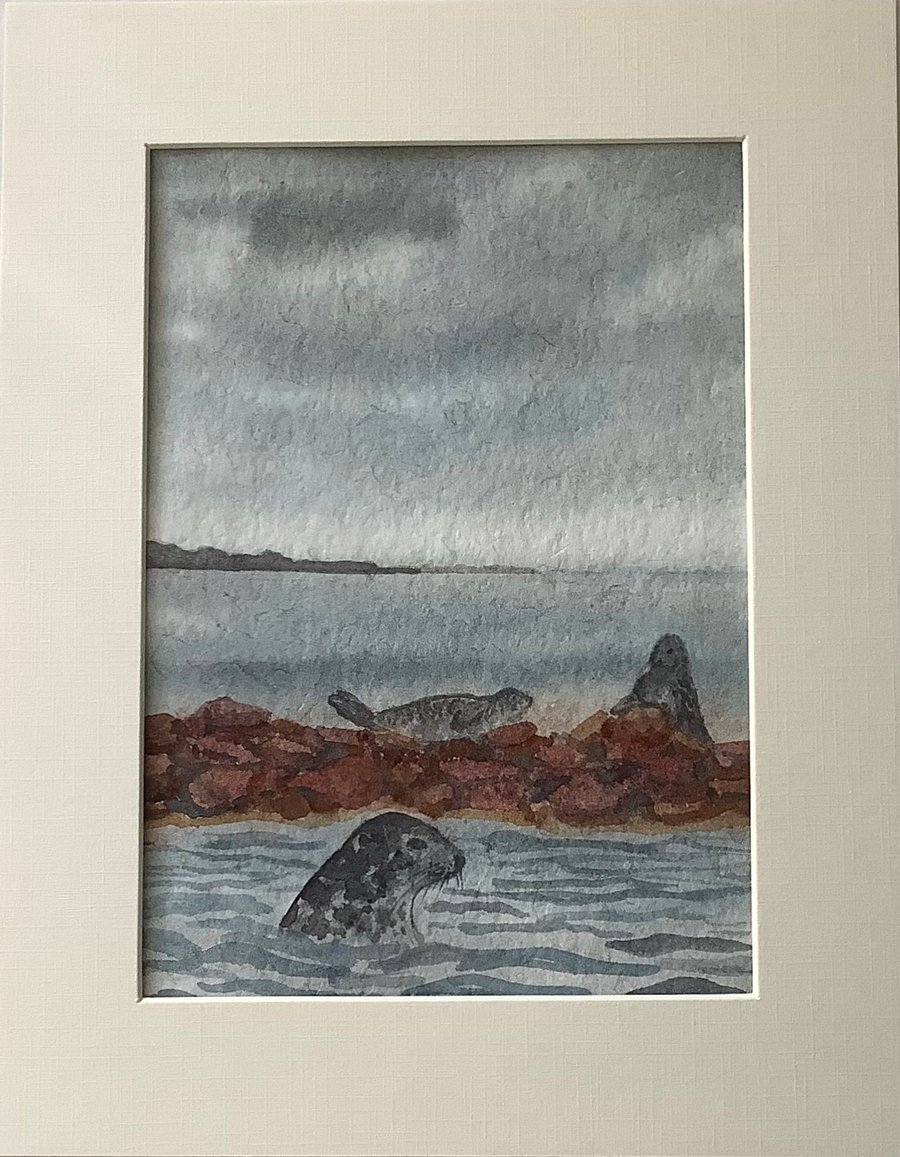Grey Seals Resting small painting - Seconds Sunday