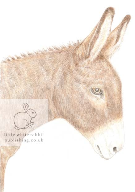 Dougal the Donkey - Blank Card