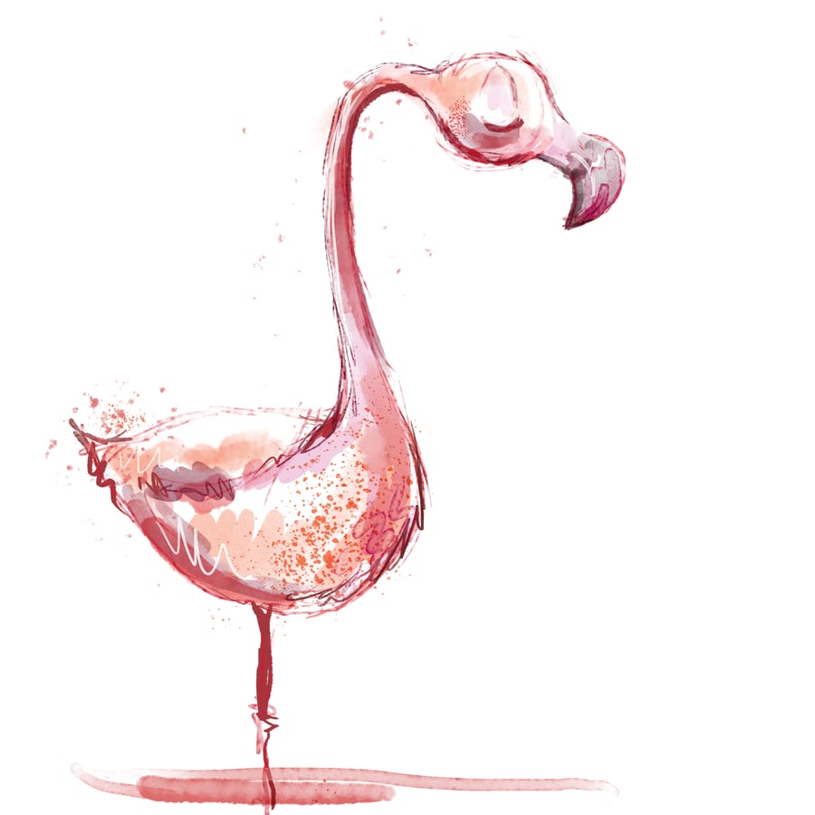 Flamingo print 
