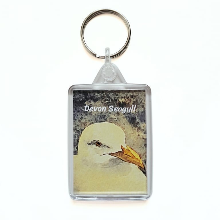 Keyring  Contains Seagull Portrait Art Print From My Original Painting