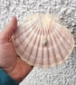 Whelk Necklace  - Image 5