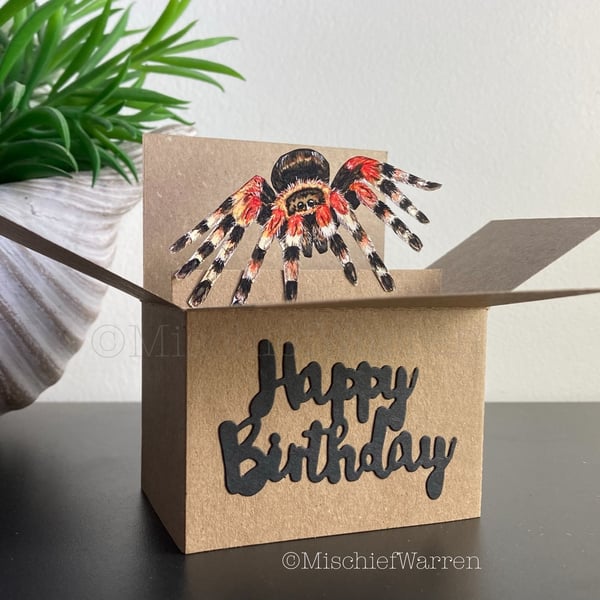 Tarantula Box Card. Spider 3D gift card holder: birthday or any occasion