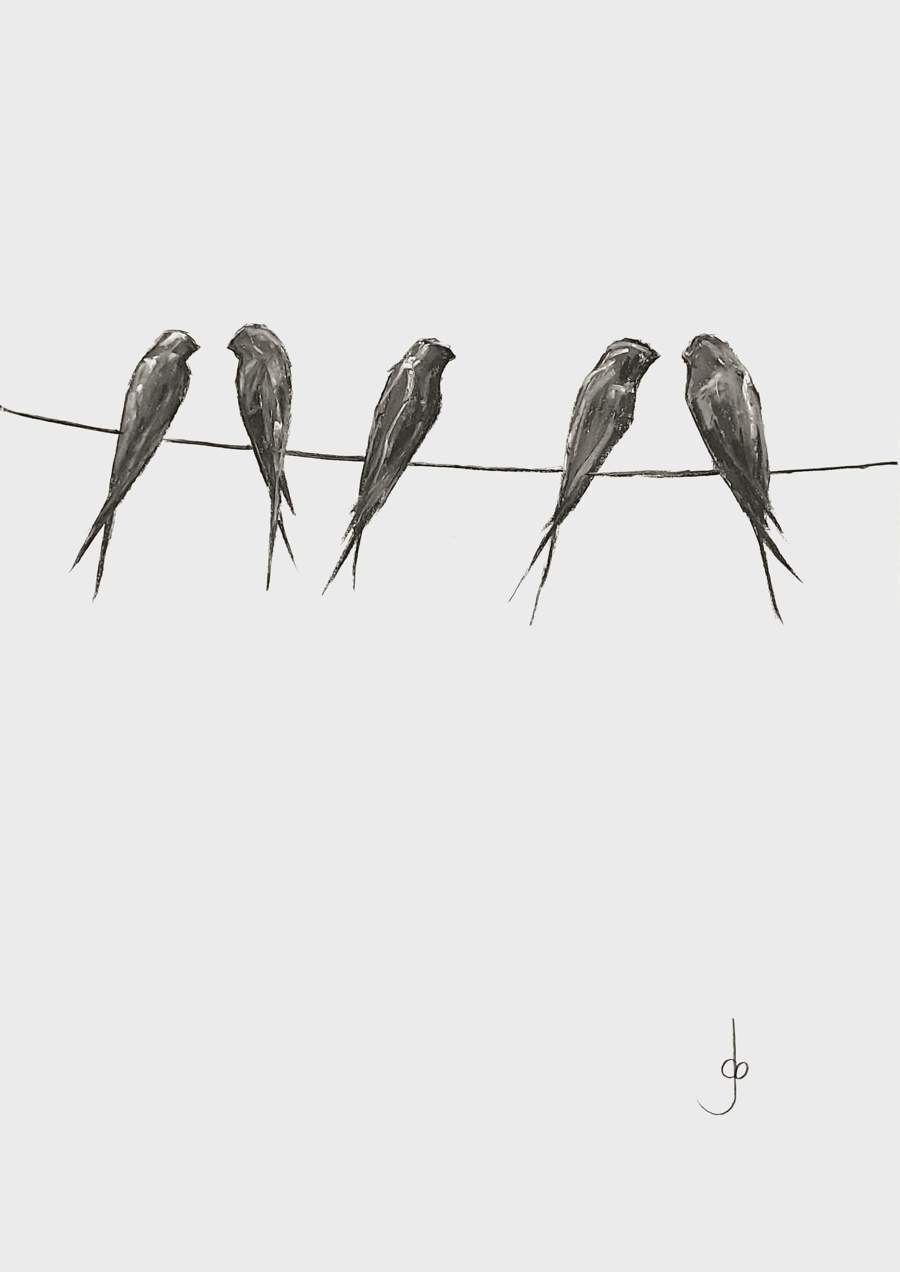 Swallows on a wire 01 A5 Art print