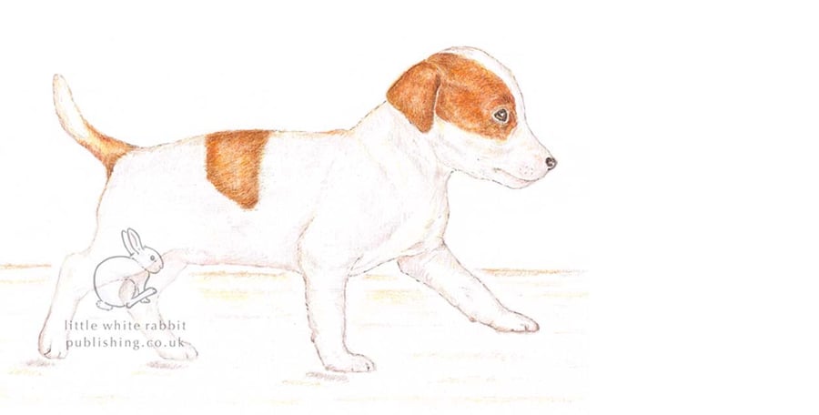 Jill the Jack Russell - Blank Card