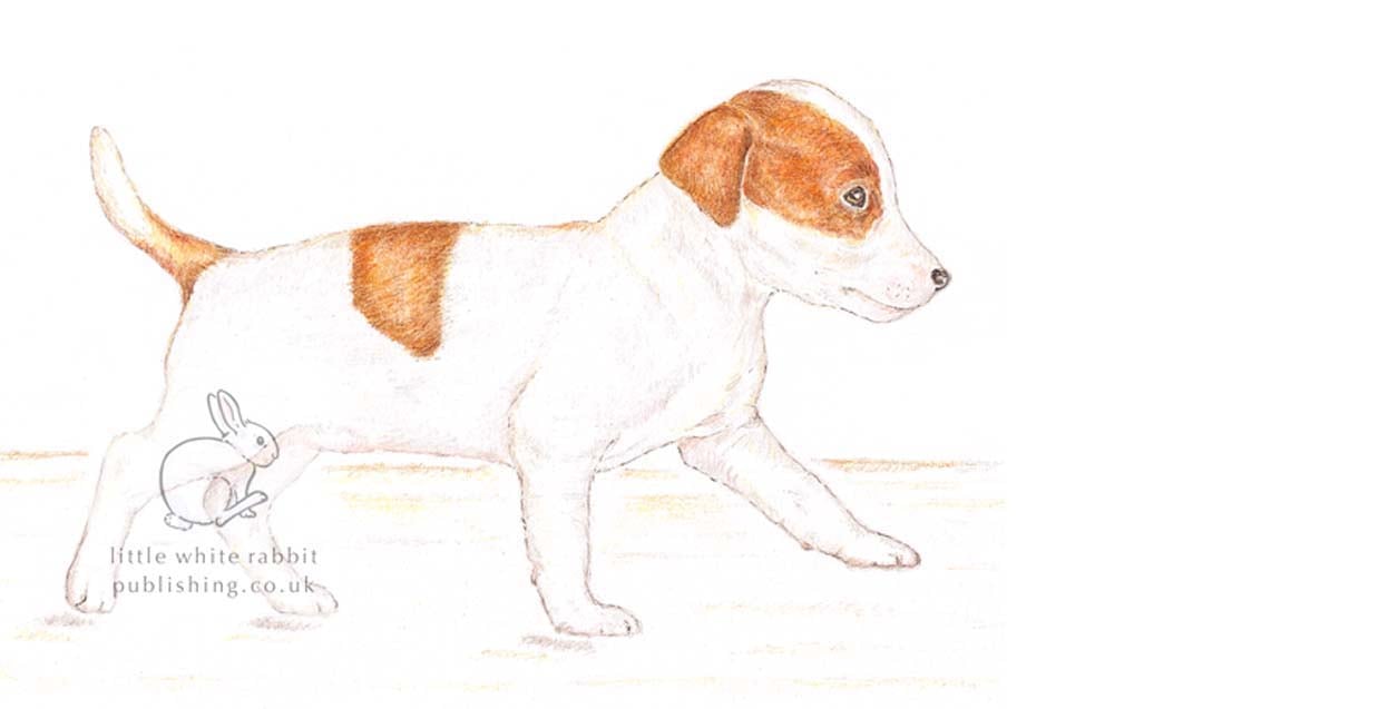 Jill the Jack Russell - Blank Card